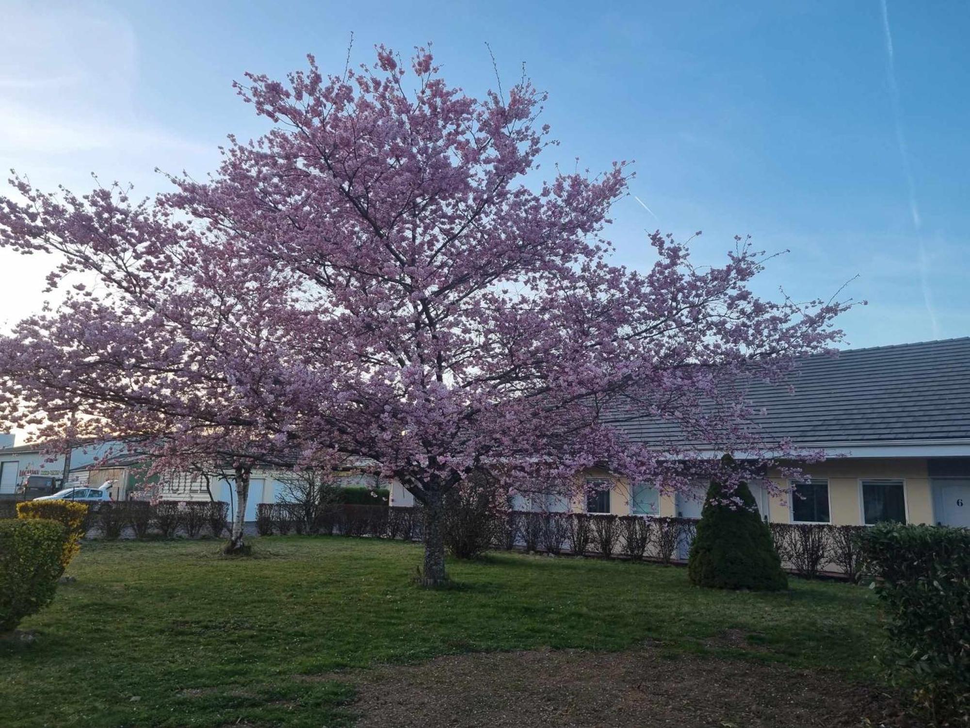 The Originals Access, Hotel Le Lutea Riom-es-Montagnes Exterior foto